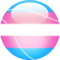 Transgender Transgender